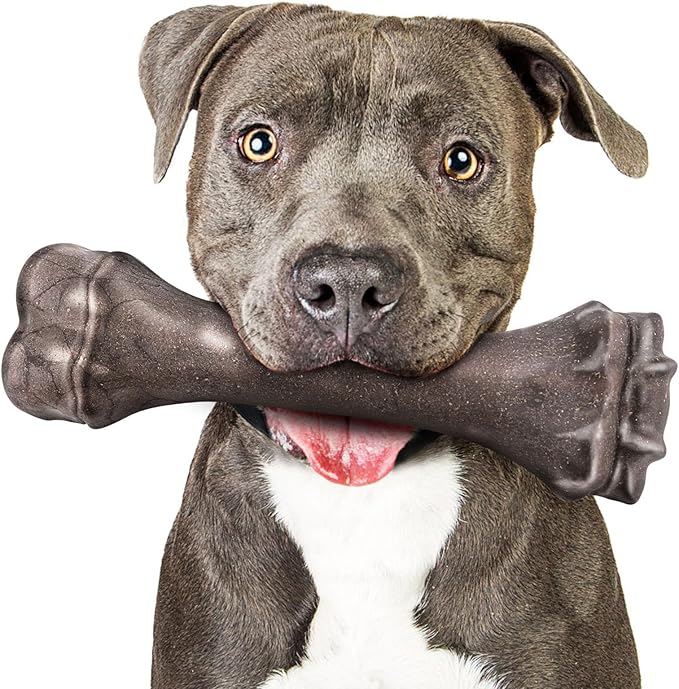 Strong Bone Dog Toy