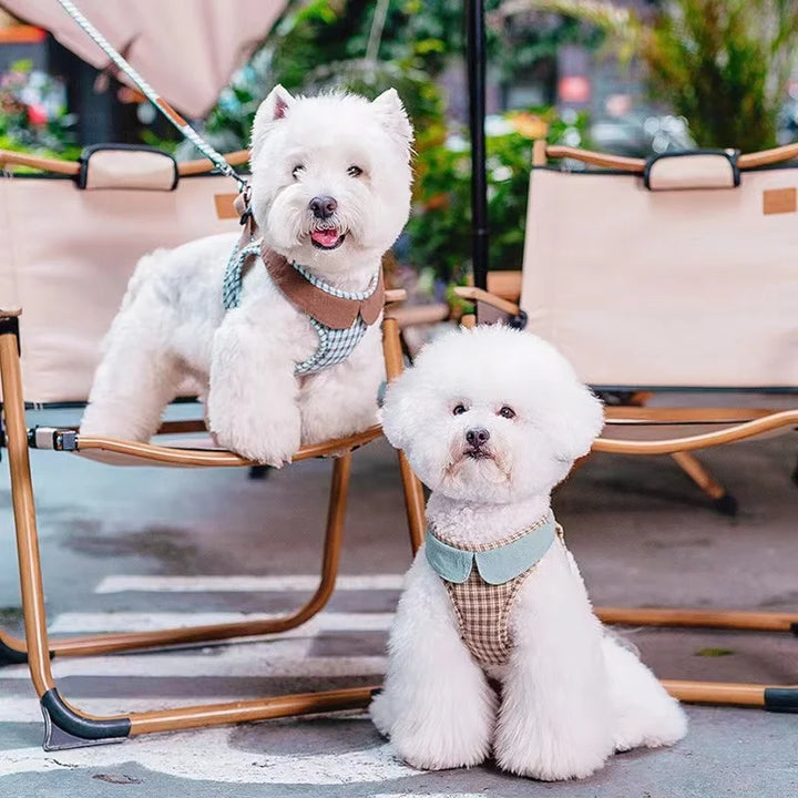 Plaid Vest Dog Harness And Leash for Small Dogs