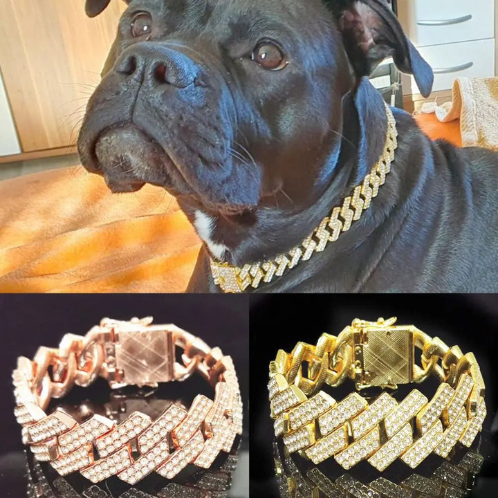 Luxury Dog Chain Collar with Diamonds