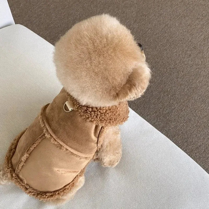 Dog Coat