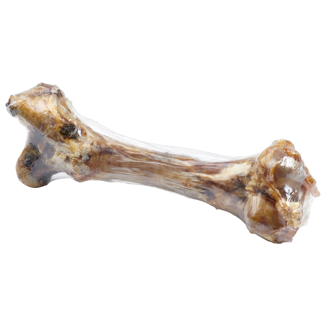 Giant Grass-Fed Beef Femur Bone ( Large Dogs)