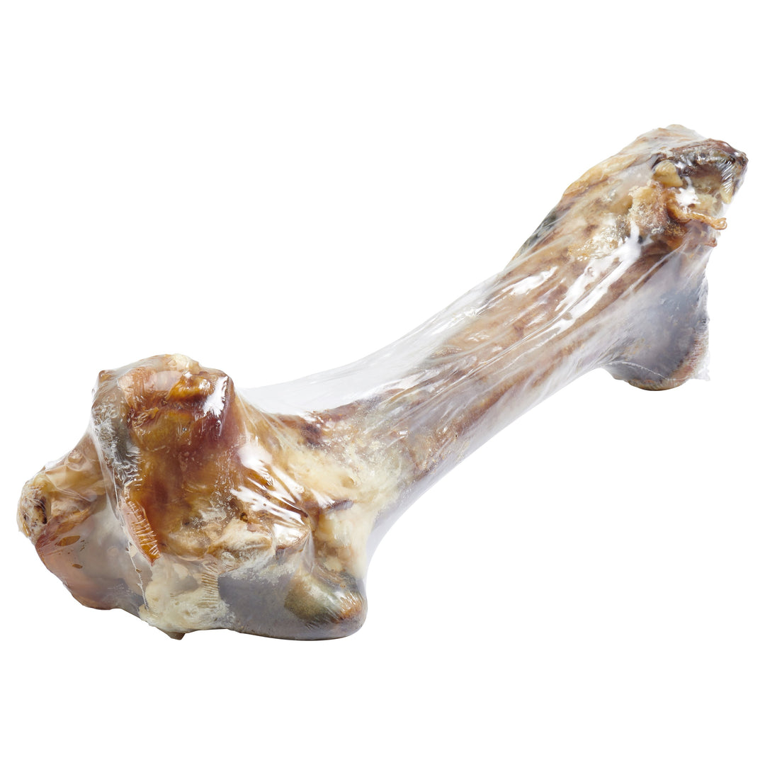 Giant Grass-Fed Beef Femur Bone ( Large Dogs)