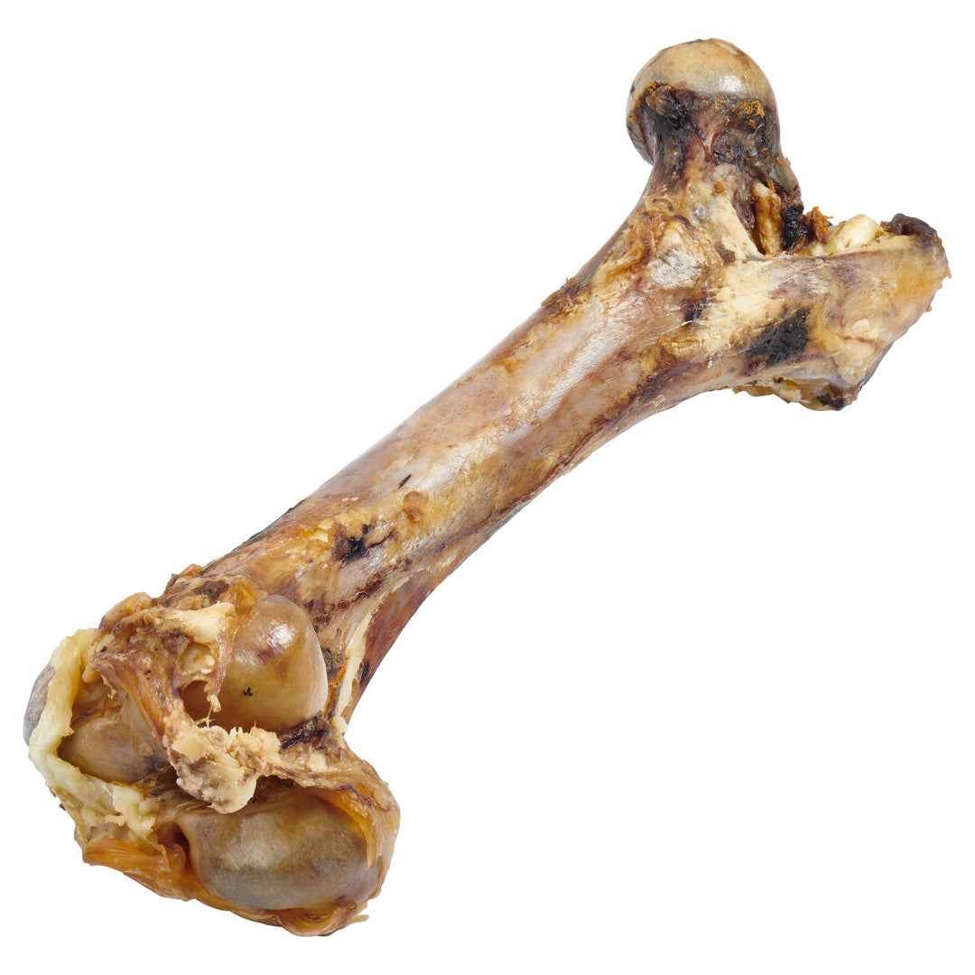 Giant Grass-Fed Beef Femur Bone ( Large Dogs)