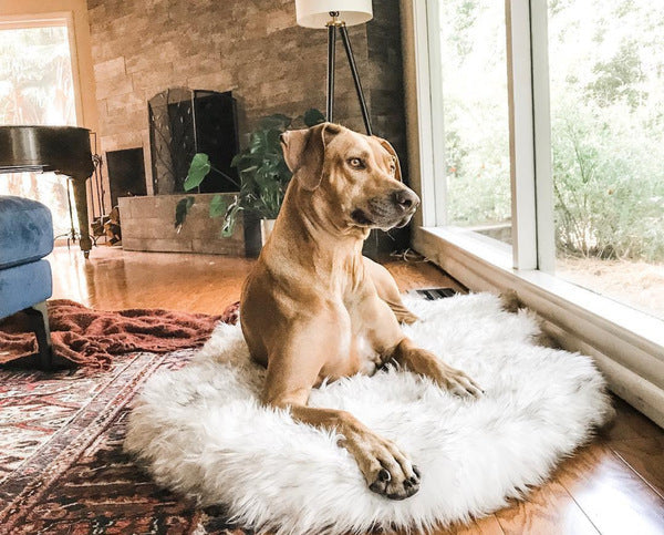 Plush Dog Rest Mat