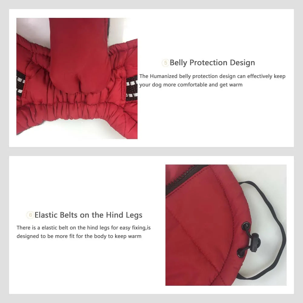 Reflective Dog Jacket with Harness