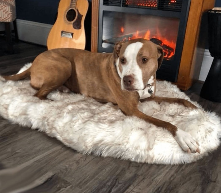 Plush Dog Rest Mat