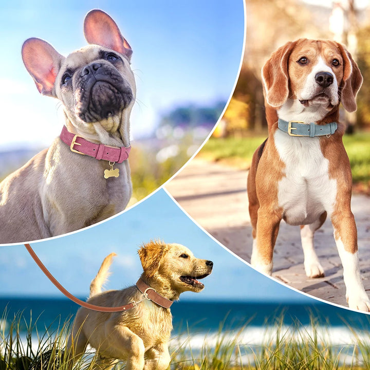 Durable Leather Dogs Adjustable Collars
