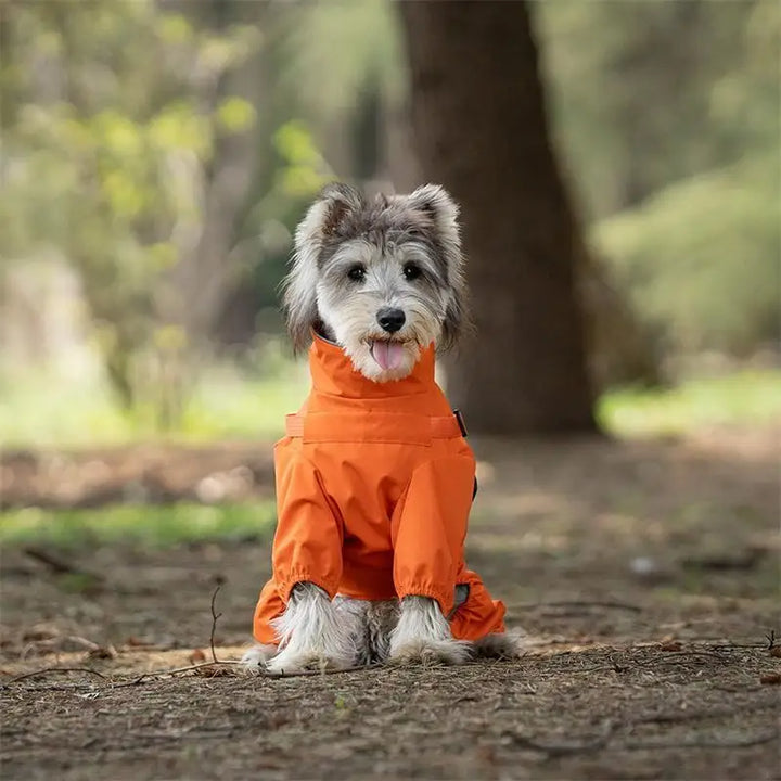 Dog Raincoat Waterproof with Harness