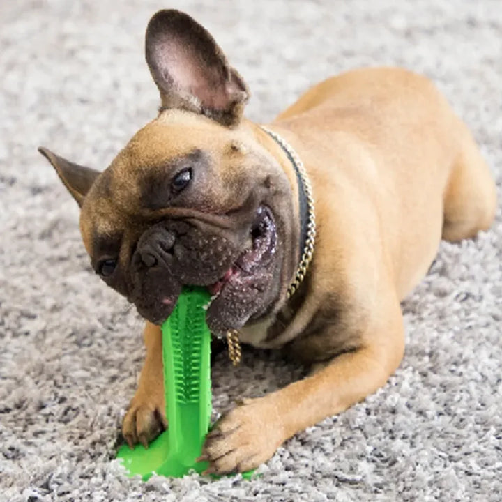 Silicone Dog Chewable Toy