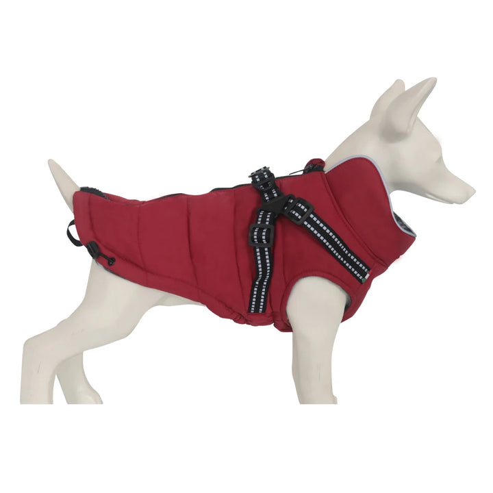 Reflective Dog Jacket with Harness