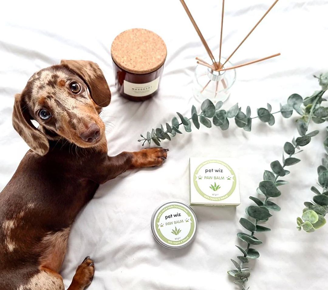 Organic Paw and Nose Balm for Dogs