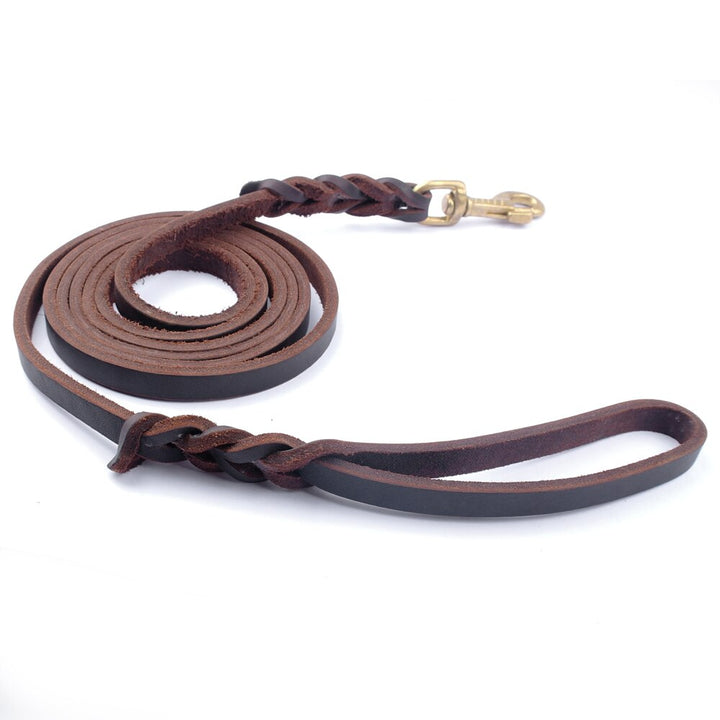 Brown/Black Genuine Leather Dog Long Leash Braided