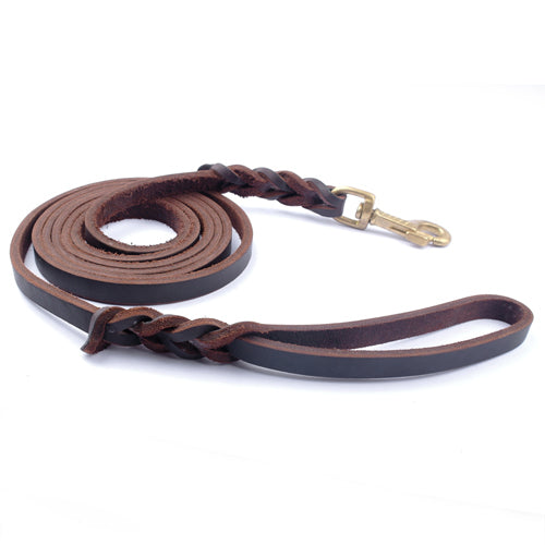 Brown/Black Genuine Leather Dog Long Leash Braided