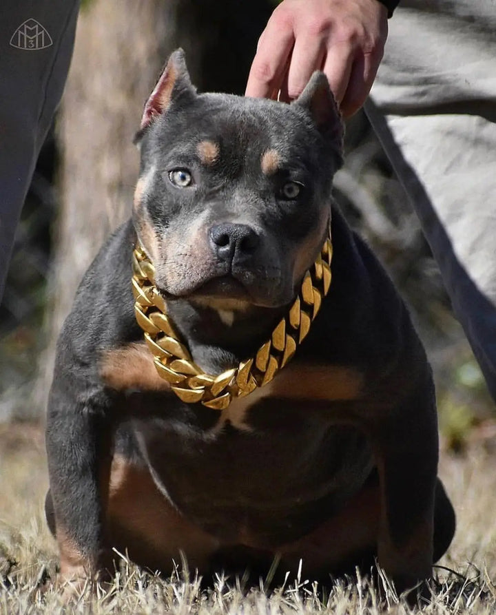 Large Dog Cuban Link Style Choker Collar