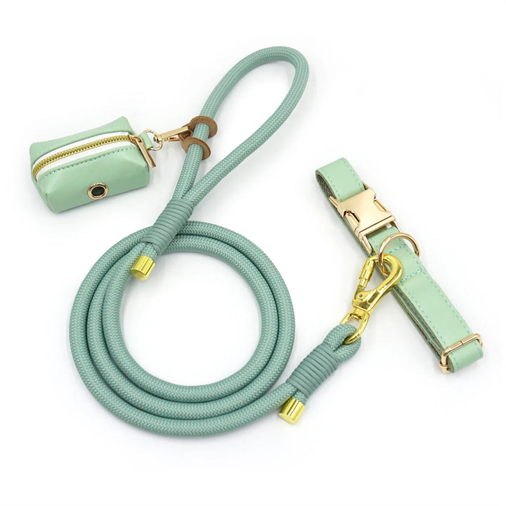 Light Green Dog Collar for Small Dogs