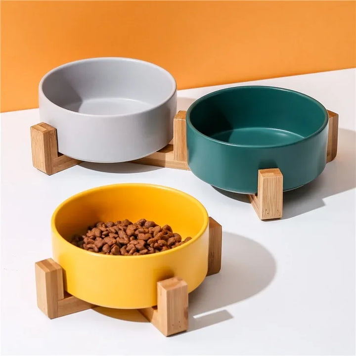 Ceramic Dog Bowl With Wood Stand