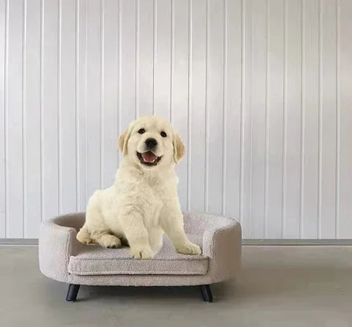 Luxury dog sofa by NS FURNITURE