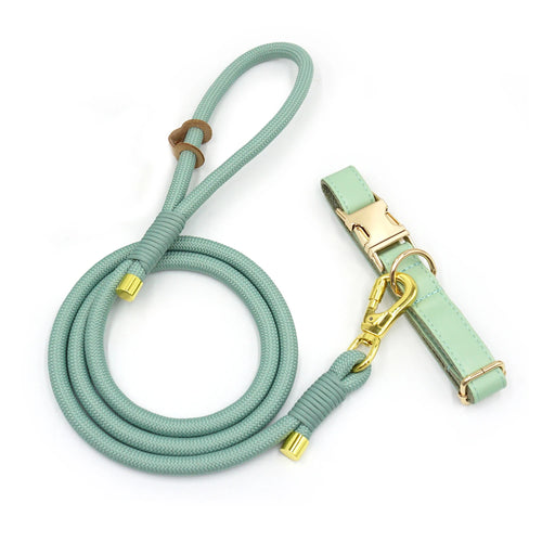 Light Green Dog Collar for Small Dogs