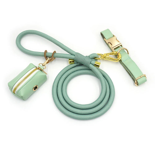 Light Green Dog Collar for Small Dogs