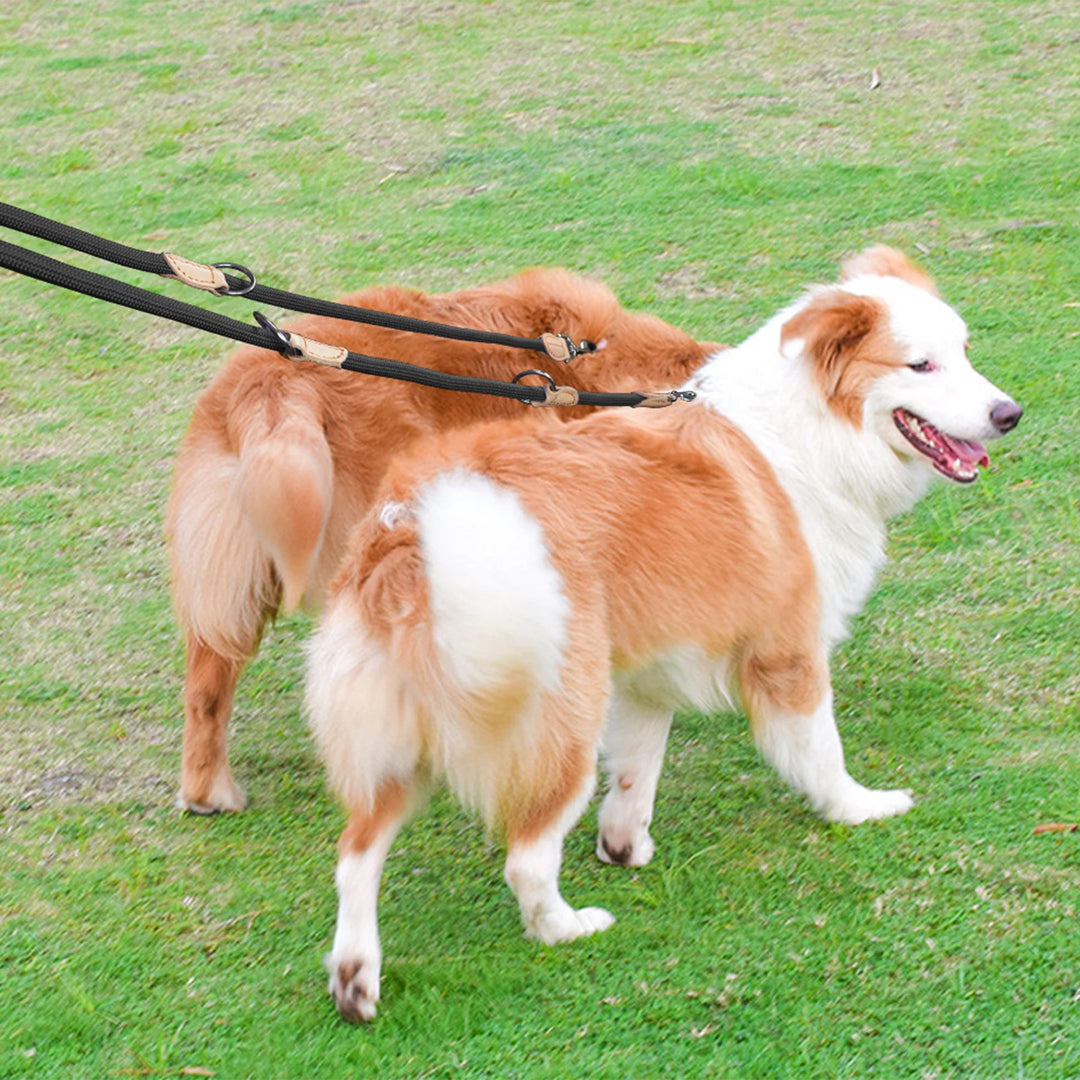 Multi-purpose Double Dog Leash