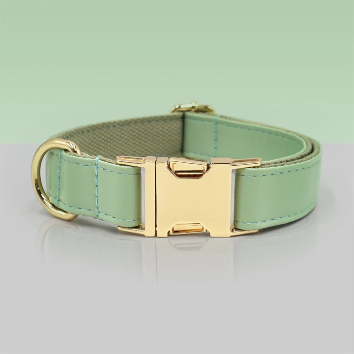 Light Green Dog Collar for Small Dogs