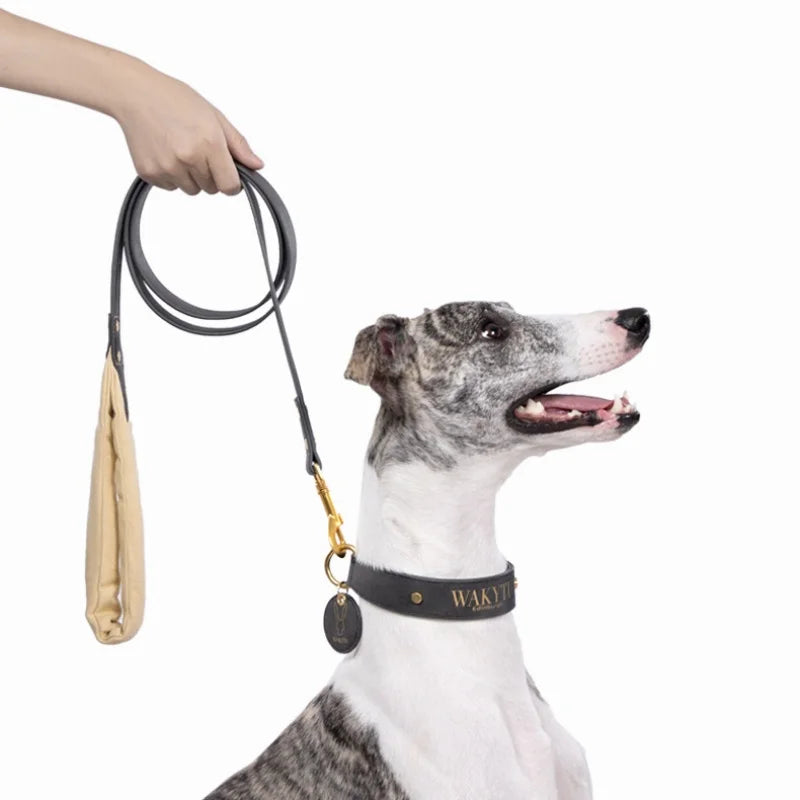 Luxury Leather Dog Collar & Leash with Padded Handle