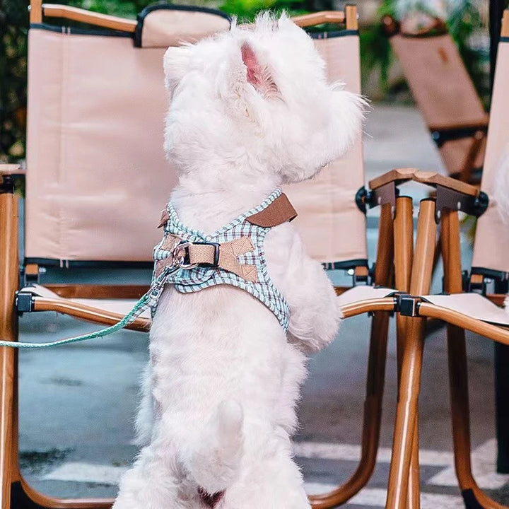 Plaid Vest Dog Harness And Leash for Small Dogs