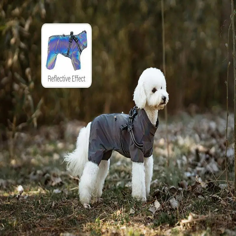 Dog Raincoat Waterproof with Harness