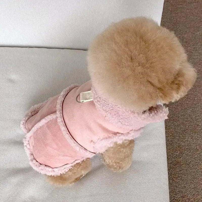 Dog Coat