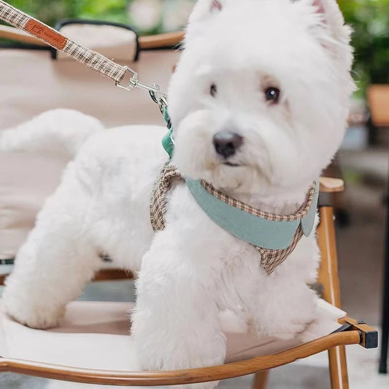 Plaid Vest Dog Harness And Leash for Small Dogs